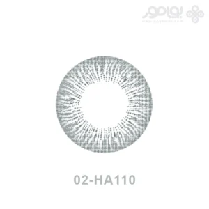 لنز رنگی ماهانه بیوتی شماره 02 کد HA110