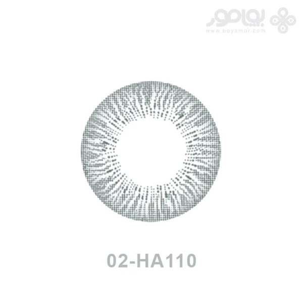 لنز رنگی ماهانه بیوتی شماره 02 کد HA110