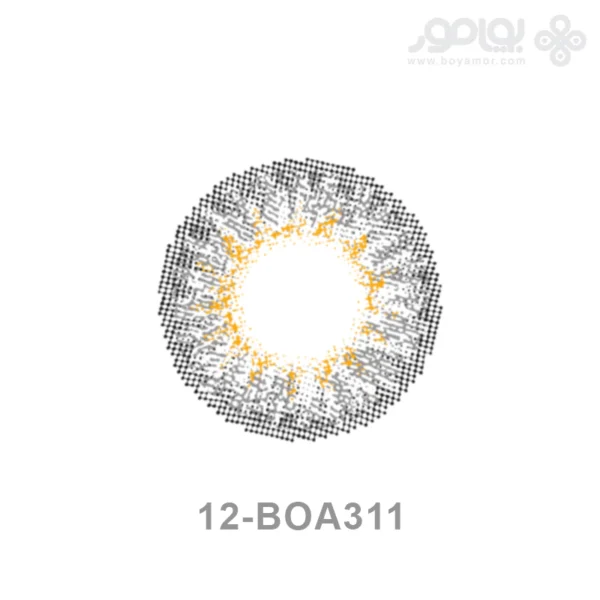 لنز رنگی ماهانه بیوتی شماره 12 کد BOA311