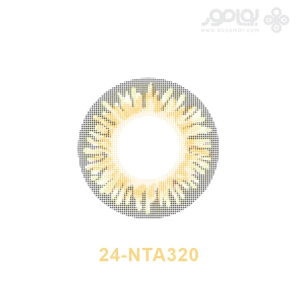 لنز رنگی ماهانه بیوتی شماره 24 کد NTA320