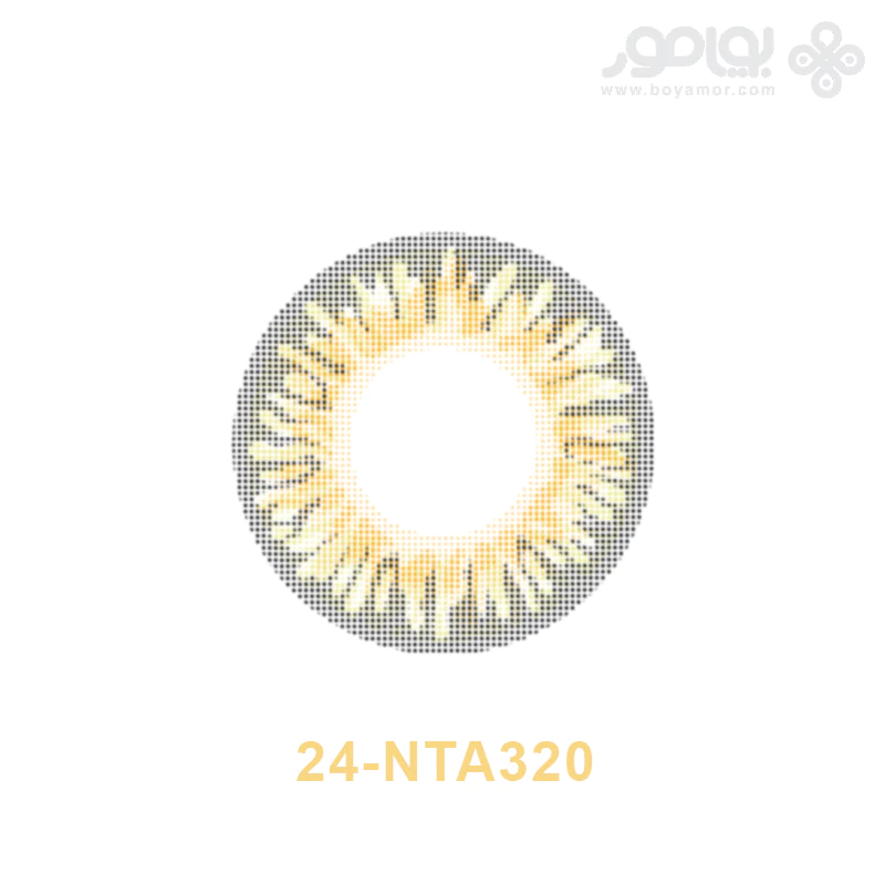 لنز رنگی ماهانه بیوتی شماره 24 کد NTA320